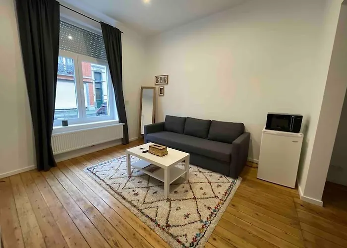 Studio Independant Sans Cuisine - Le Coin Cosy Avec Wifi