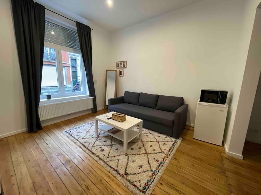 Independant Sans Cuisine - Le Coin Cosy Avec Wifi * Bruxelles